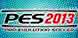 PES 2013 cl&eacute; cd au meilleurs prix
