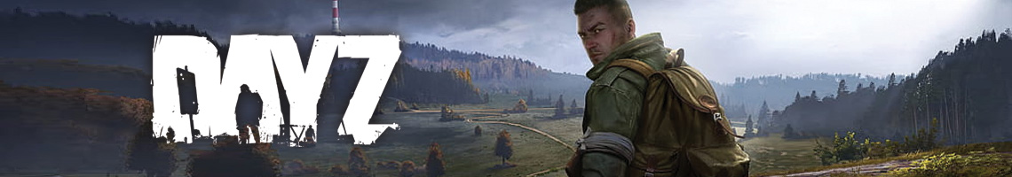 Survie en Milieu Hostile : DayZ<