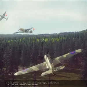 303 Squadron Battle of Britain - Low Pass