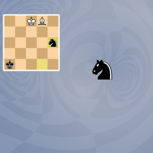 5D Chess With Multiverse Time Travel - Chevalier