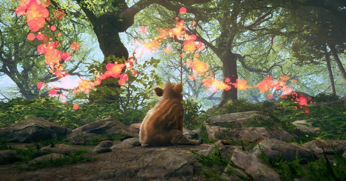 Adorable Adventures
