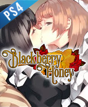 Blackberry Honey Playstation 4