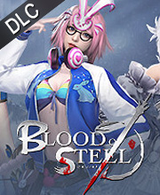 Blood of Steel Ladies on the Battlefield Pc