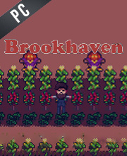 Brookhaven Pc