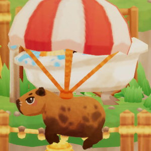 Capybara Spa - Parachute