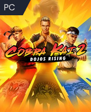 Cobra Kai 2 Dojos Rising Pc