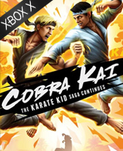 Cobra Kai The Karate Kid Saga Continues Xbox Series X