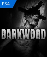 Darkwood Playstation 4