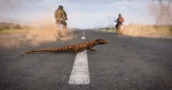 DLC DayZ Badlands : Comment Payer Moins Cher Que Sur Les Stores Officiels