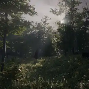 Dead Man’s Diary - Forêt