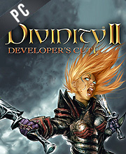 Divinity 2 Developers Cut