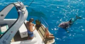 Rockstar Confirme Que Grand Theft Auto 6 Nécessitera 80 Heures Sur Consoles