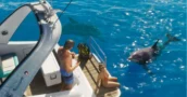 GTA 6 Pourrait Sortir sur PC Seulement Quatre Mois Après les Consoles
