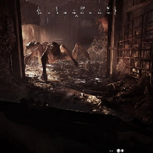 Hunt Showdown Co-op