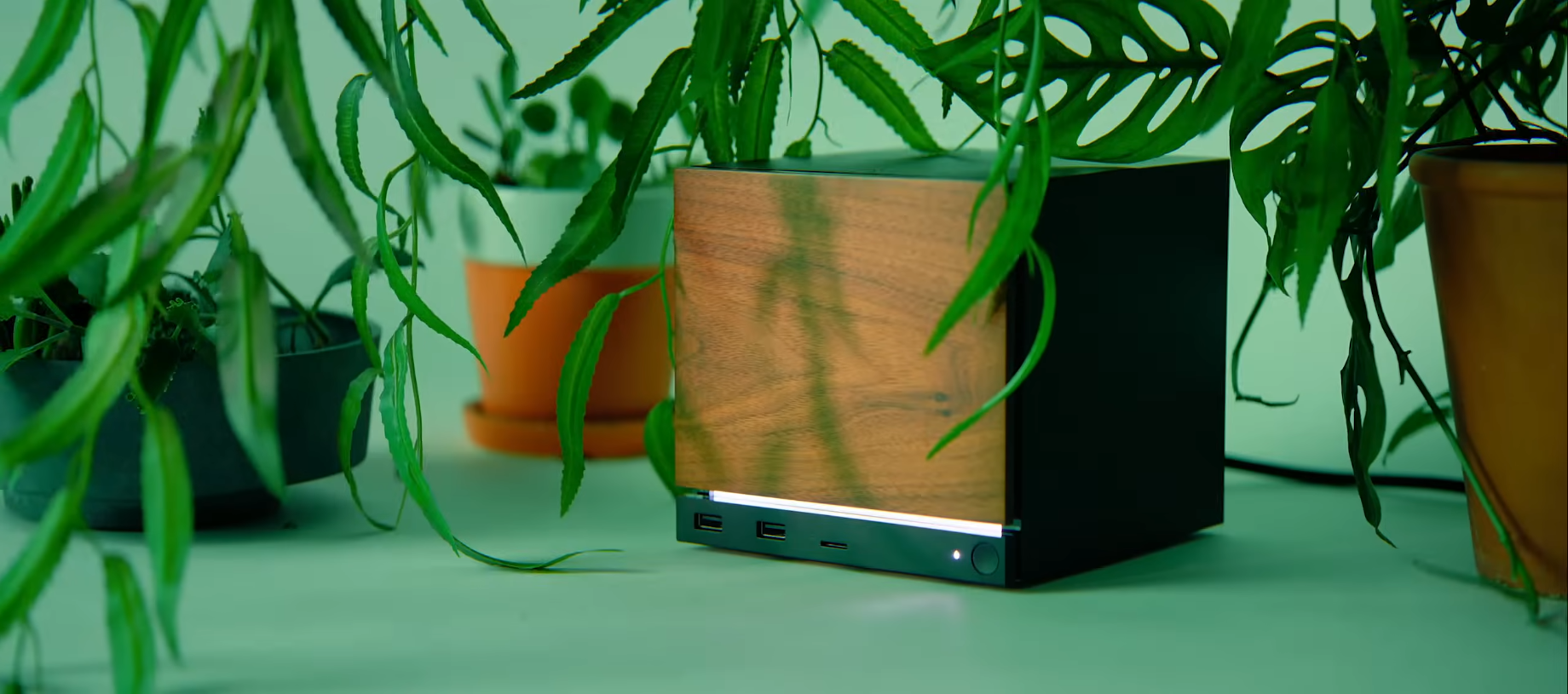 Steam Machine dans des feuilles