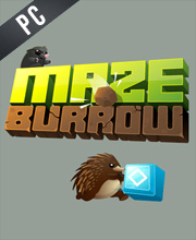 Maze Burrow