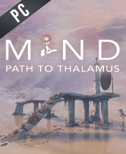 Mind Path To Thalamus