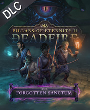 Pillars of Eternity 2 Deadfire The Forgotten Sanctum