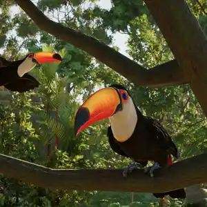 Planet Zoo 2 - Toucans toco