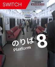 Platform 8 Switch
