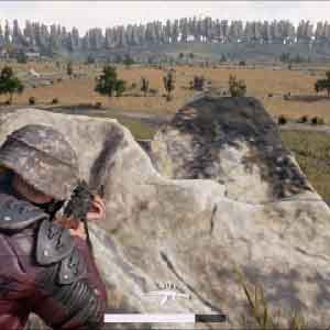 The lone survivor