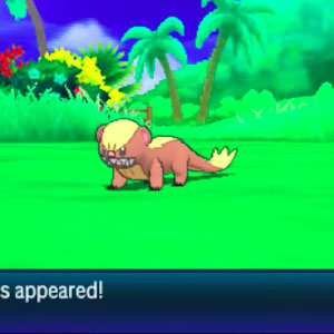 Entrez dans le monde de Poke