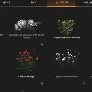 Ranger’s Path National Park Simulator - Lexique