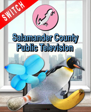 Salamander County Public Television Switch