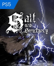 Salt and Sanctuary Playstation 5