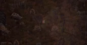 Scavland adapte la survie brutale de STALKER en un RPG vue de dessus