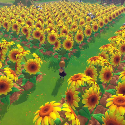 Song Of The Prairie - Champ de tournesols