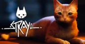 Stray: Promotion Spéciale Baisse de Prix pour des Économies Massives