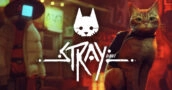 Stray : Meilleur Prix Repéré sur les Grandes Plateformes avec le Suivi de Prix