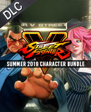 Street Fighter V Summer 2019 Character Bundle Pc