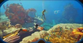 L'Accès Anticipé de Subnautica 2 Coûte Moins Cher sur les Marchés de Clés