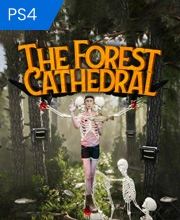The Forest Cathedral Playstation 4