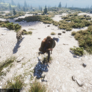 The Last Plague Blight - Paysage