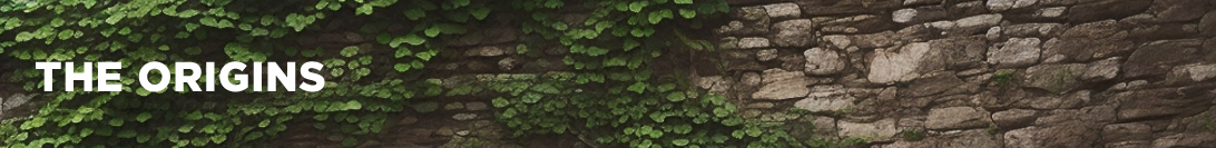 Les Origines de Tomb Raider