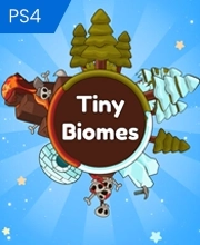 Tiny Biomes Playstation 4