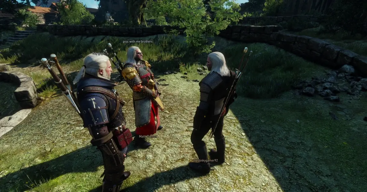Le mod Witcher Online transforme The Witcher 3 en une expérience coopérative