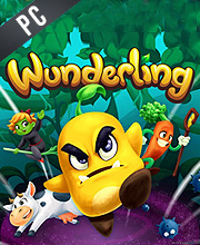 Wunderling Pc