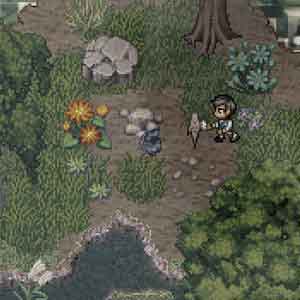 A Bird Story - histoire