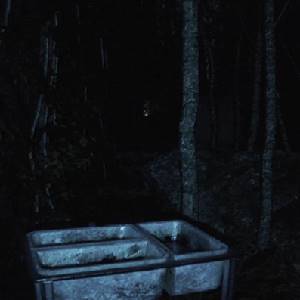 Abandoned Souls - Les Bois