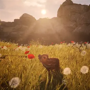 Adorable Adventures – Coquelicot