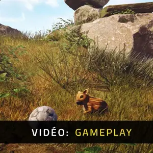 Adorable Adventures – Gameplay