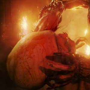 Survivre dans les conditions extrêmes