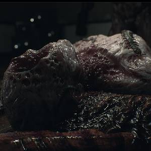 Amygdala 2024 - Cauchemar Anomalie