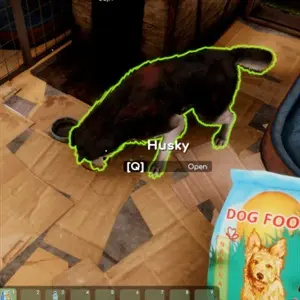 Animal Shelter 2 - Nourrir un Husky