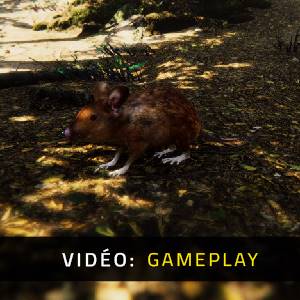 Animal Simulator - Gameplay