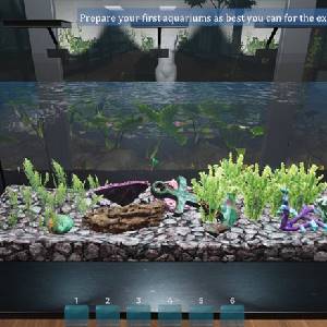 Aquarist - Magasin